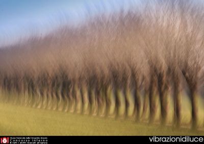 6 Giulia Bertoletti - vibrazioni di luce
